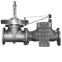 Pressure Relief-Flame Trap Assembly